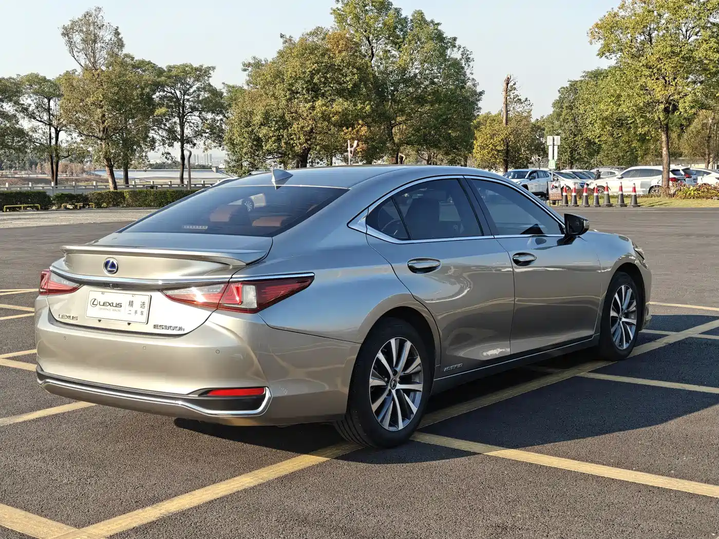 Lexus ES 2020 Model 300h Excellence Edition фото 6