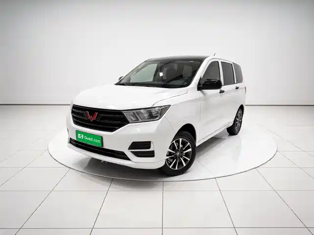  Wuling Motors Wuling Hongguang 2019 1.5L S Basic China VI LAR