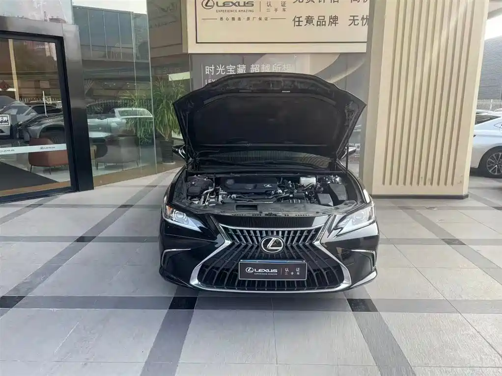 Lexus ES 2021 300h Excellence Edition фото 6