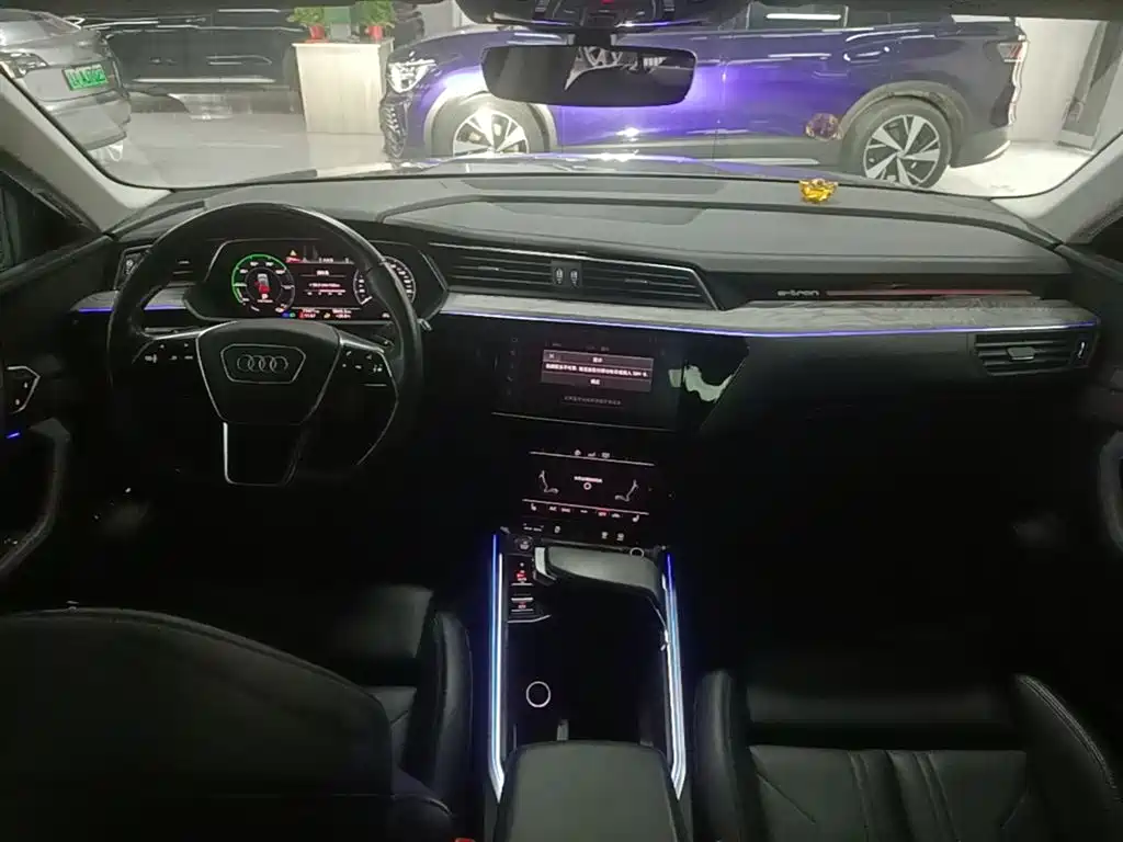 Audi e-tron (Import) 2019 55 quattro Technology фото 10