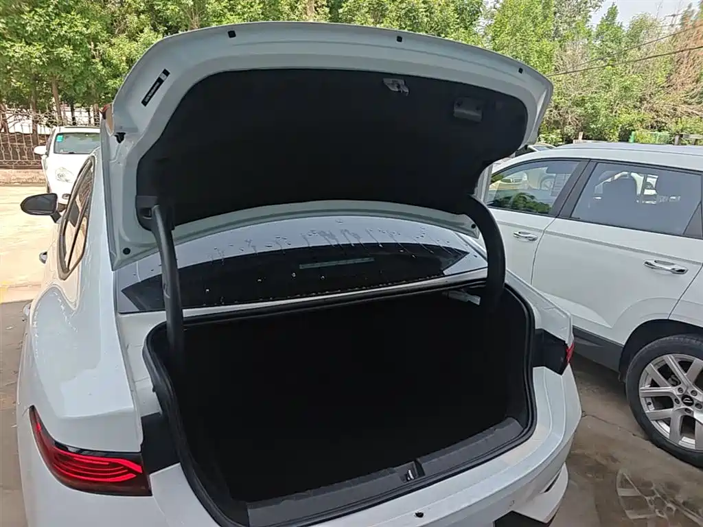 BYD Qin PLUS 2025 DM-i Smart Drive 55KM Leader фото 19