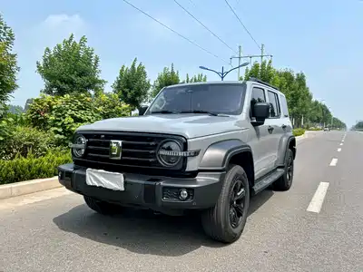 Tank 300