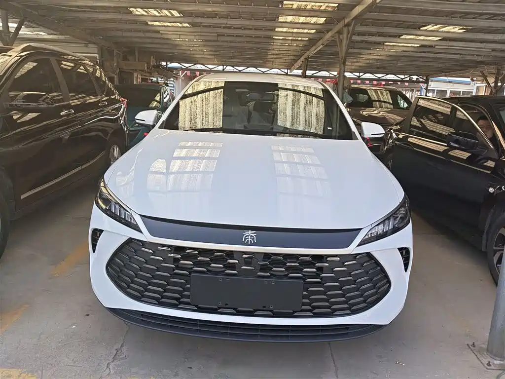 BYD Qin PLUS 2026 DM-i Smart Edition 128KM Progressive фото 3