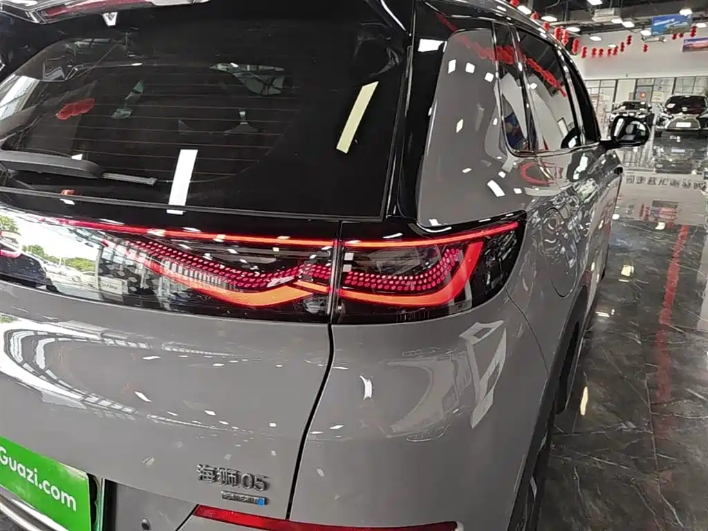 BYD Hai Shi 05 EV 2025 520KM Smart Navigation Edition фото 8