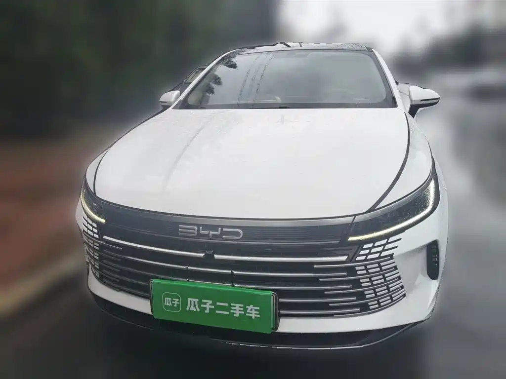 BYD Destroyer 05 2024 Glory Edition DM-i 55KM Luxury фото 3