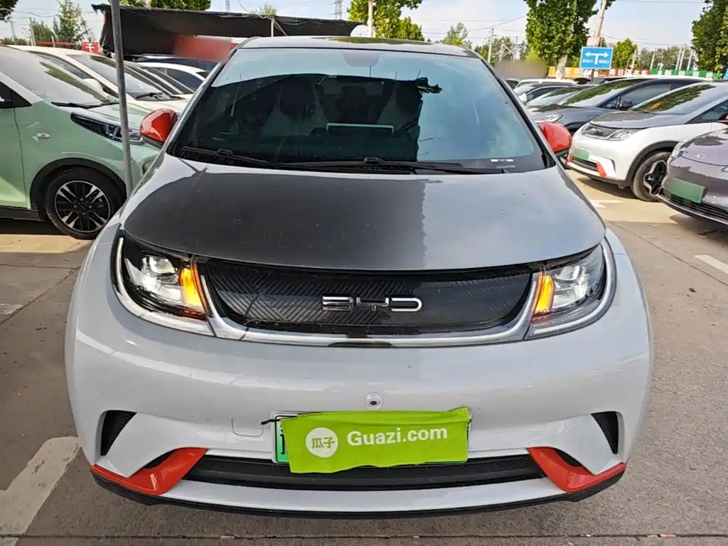 Фото 3 - BYD Dolphin