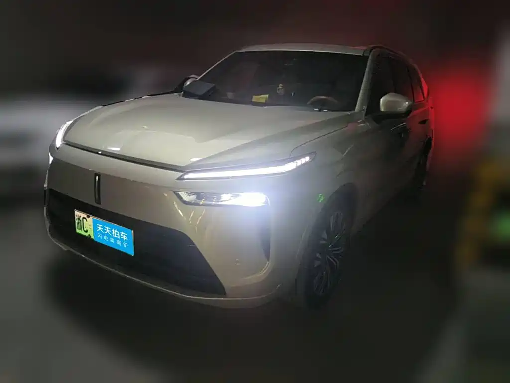 WEY Lanshan 2024 2023 2WD Long Range Edition