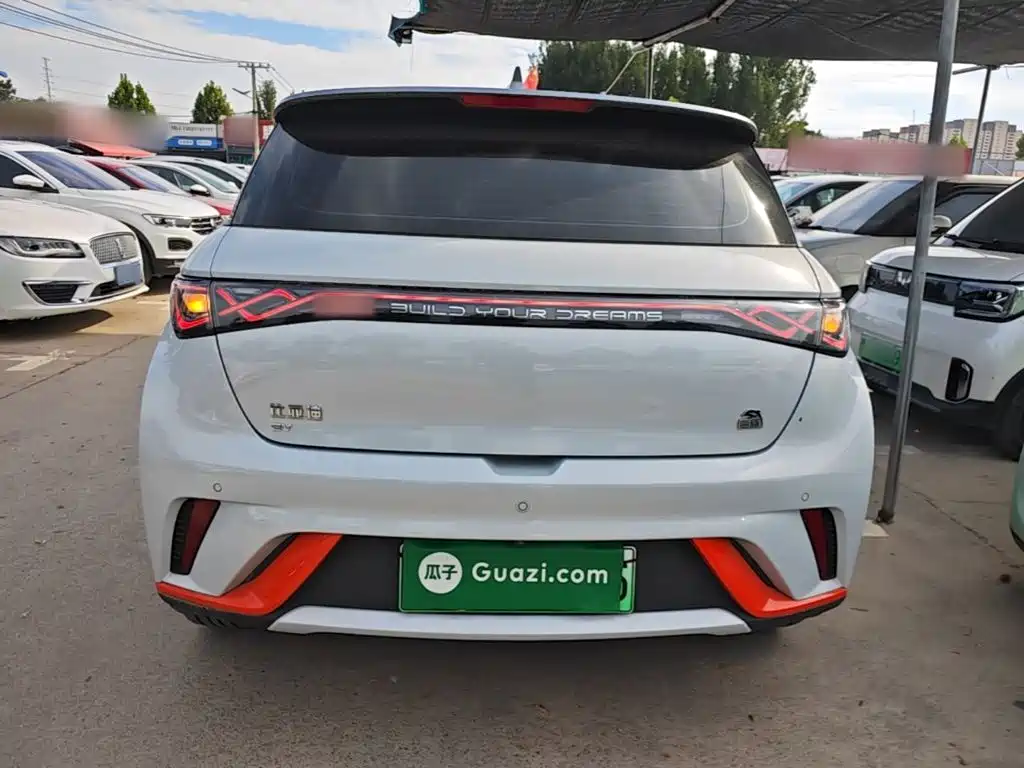 Фото 6 - BYD Dolphin