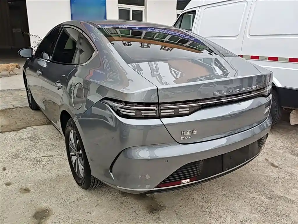 BYD Destroyer 05 2023 Champion Edition DM-i 55KM Luxury фото 5