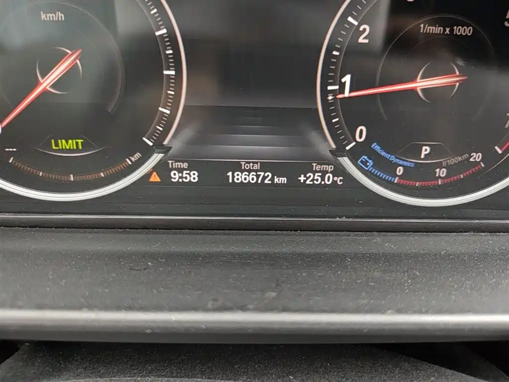 BMW 5 Series 2017 525Li Luxury Design Package фото 19