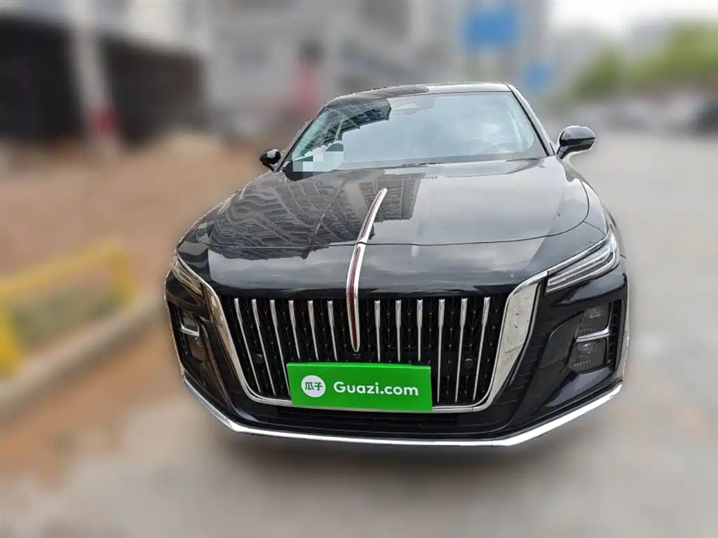Hongqi H5 2024 2.0T Automatic Smart Connect Flag Smooth Edition фото 24