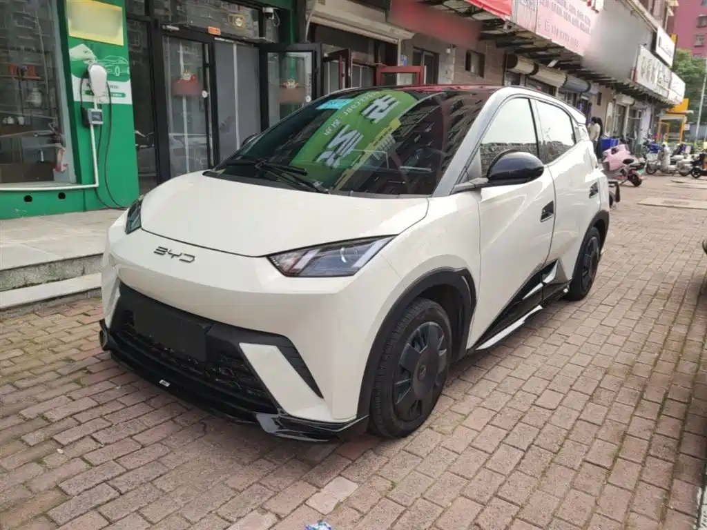BYD Seagull 2023 Vitality Edition фото 2