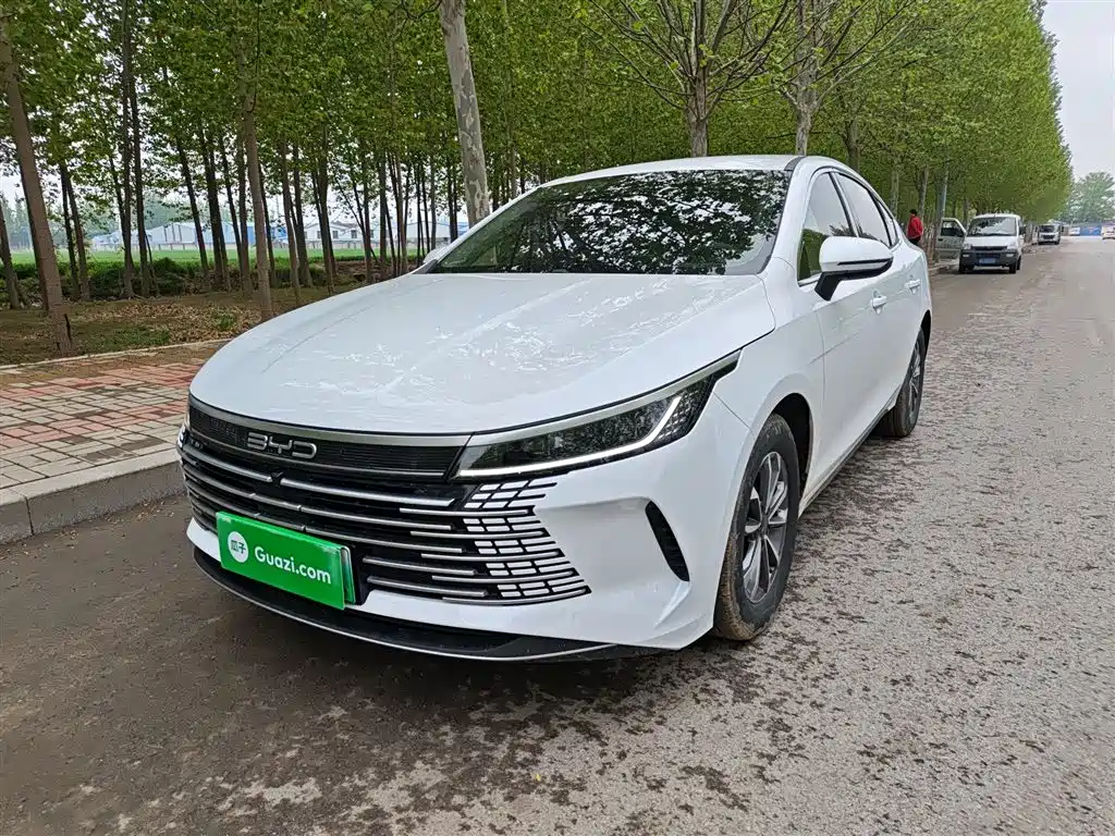 BYD Destroyer 05 2024 Glory Edition DM-i 55KM Luxury фото 2