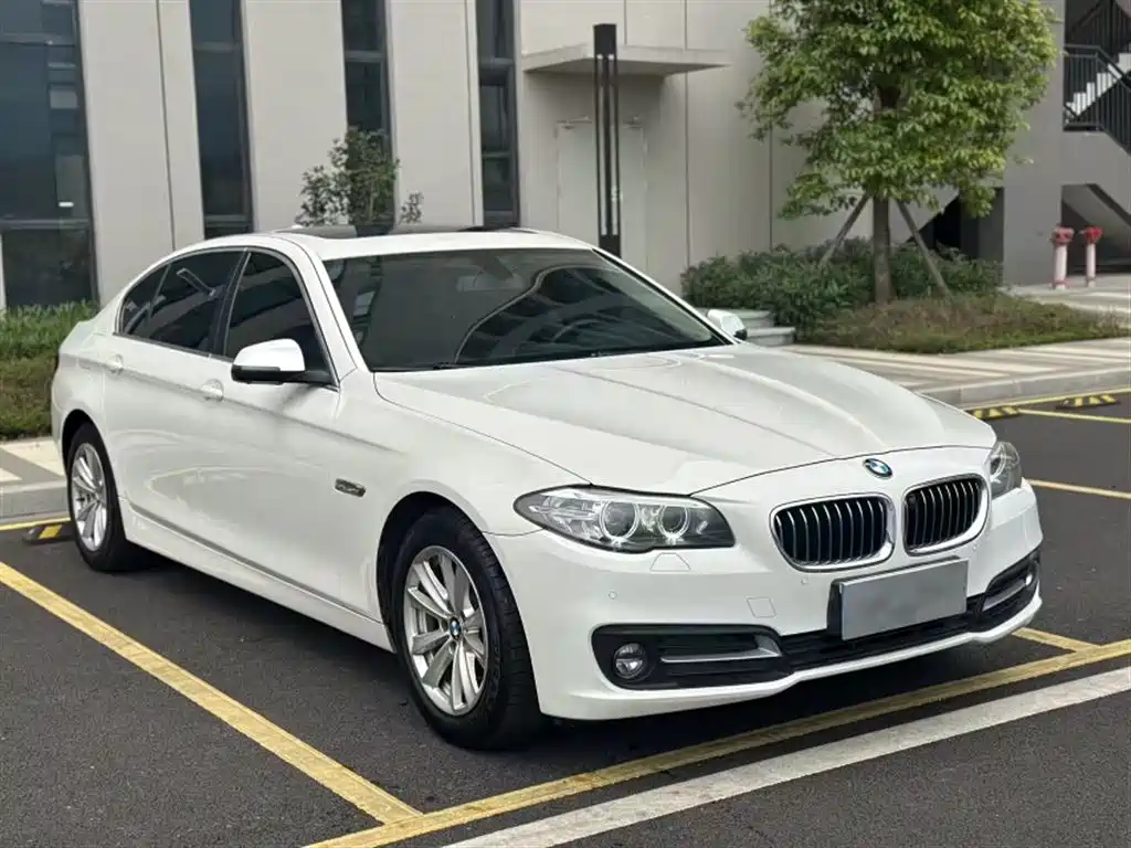 BMW 5 Series 2014 520Li Elegance фото 24