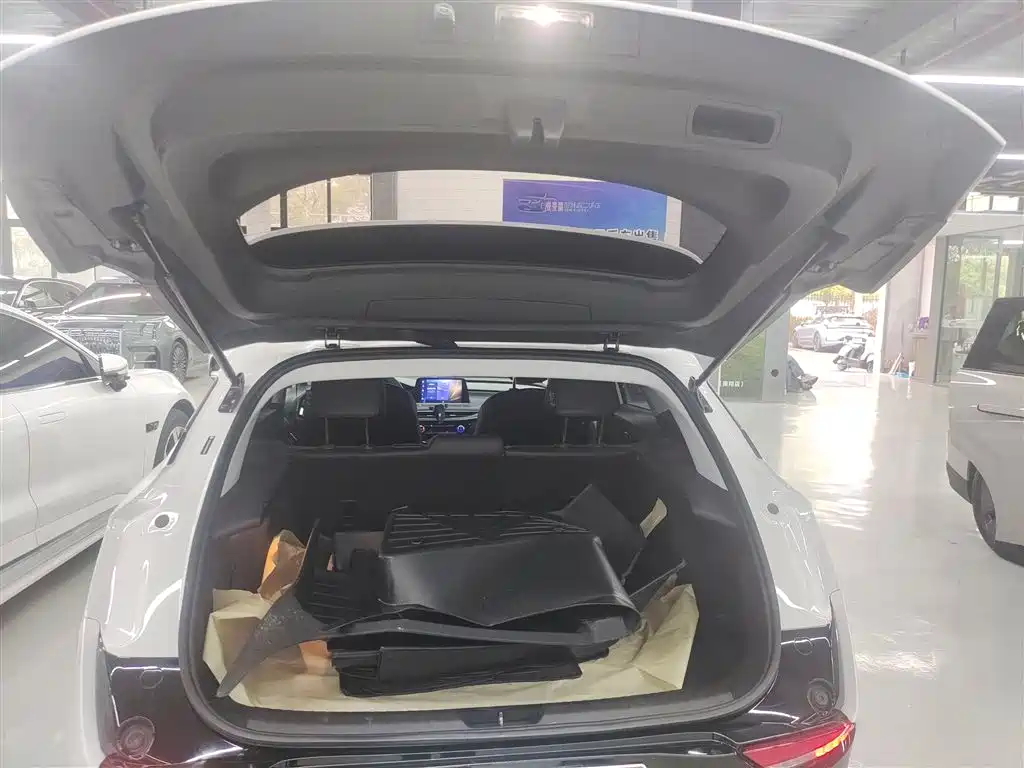 Buick Velite 6 2024 Model 430km Premium Edition фото 19