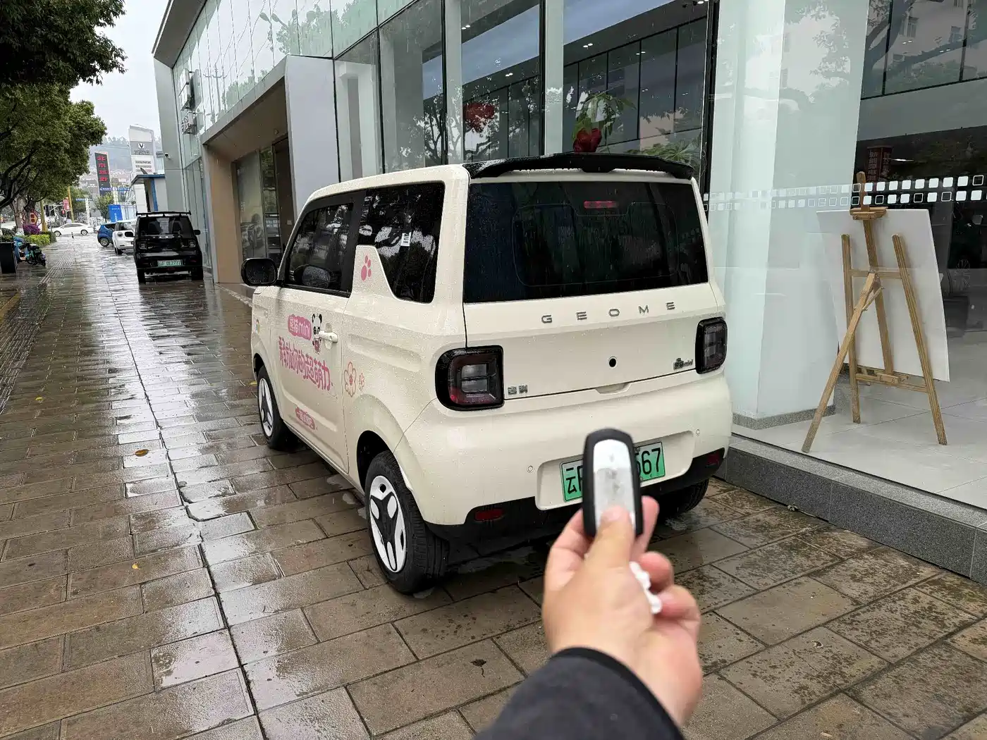 Geely Galaxy Panda 2024 Panda mini 200km Endurance Bear фото 2