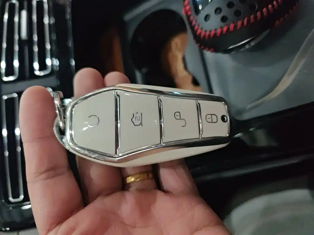 BYD Qin PLUS 2024 Glory Edition DM-i 55KM Leading фото 9