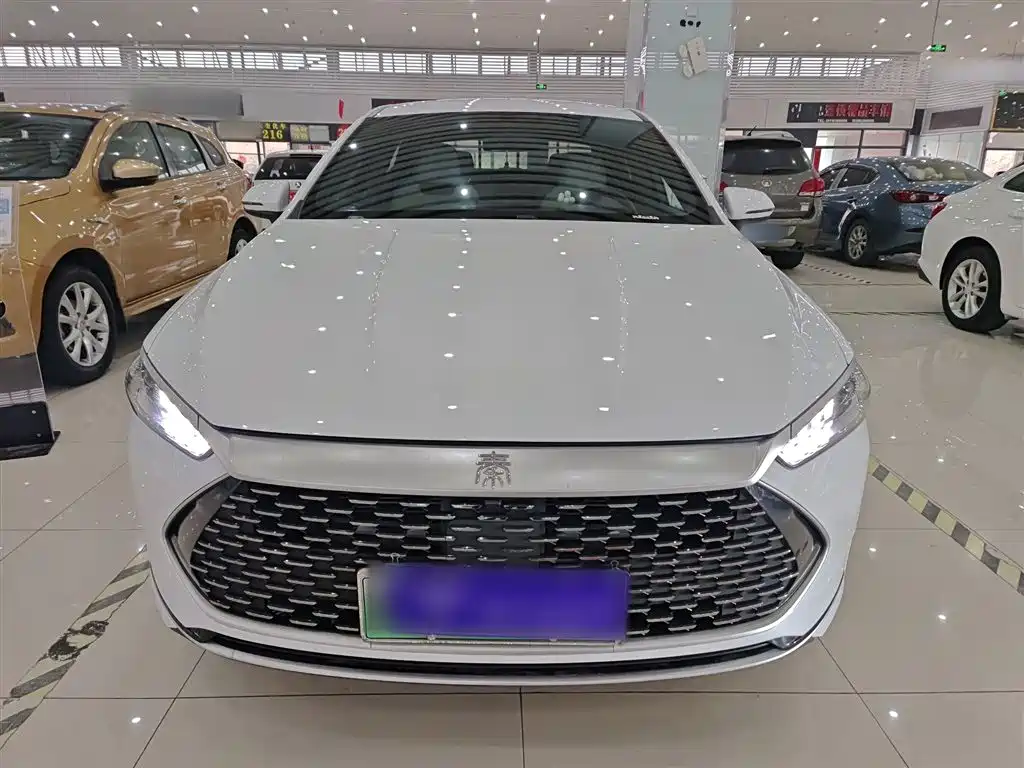 BYD Qin PLUS 2024 Glory Edition DM-i 55KM Leading фото 3
