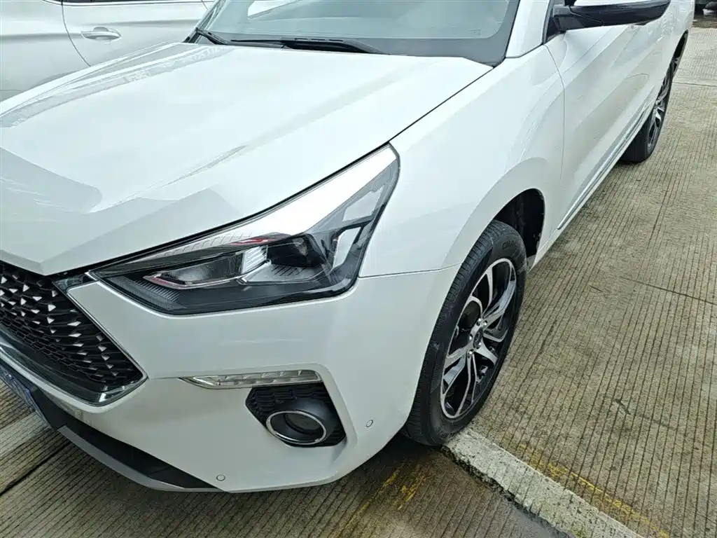 Haval H6 Coupe 2018 Red Label 1.5T Auto 2WD Ultra Luxury фото 24