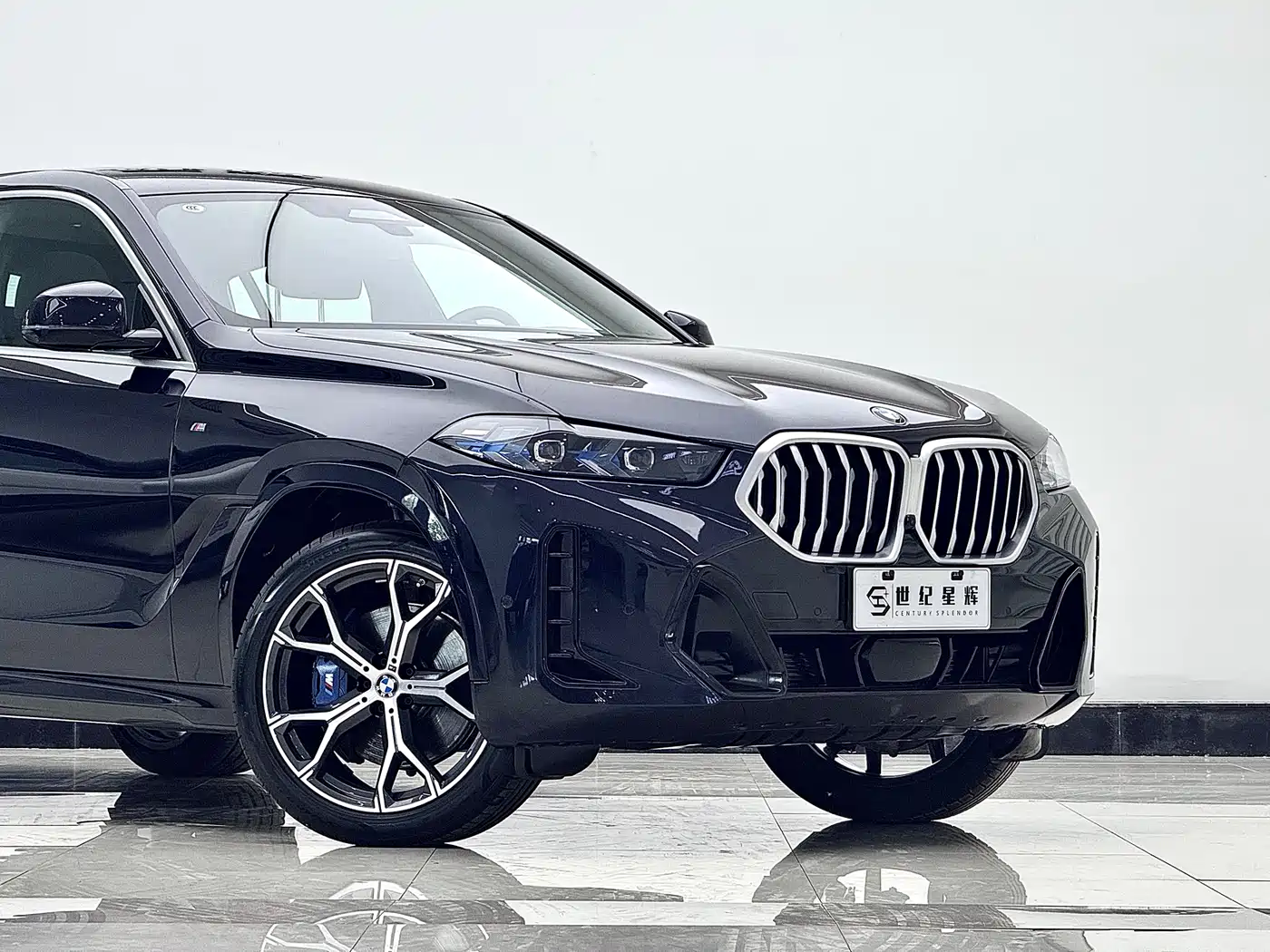BMW X6 2023 xDrive40i Premium M Sport Package фото 10