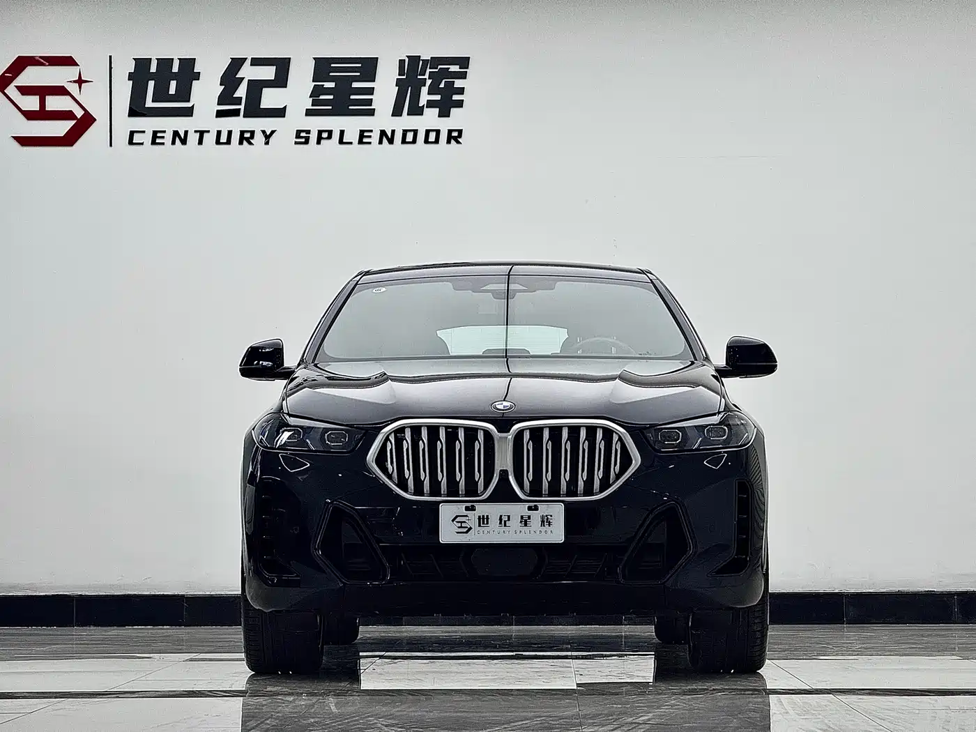 BMW X6 2023 xDrive40i Premium M Sport Package фото 4