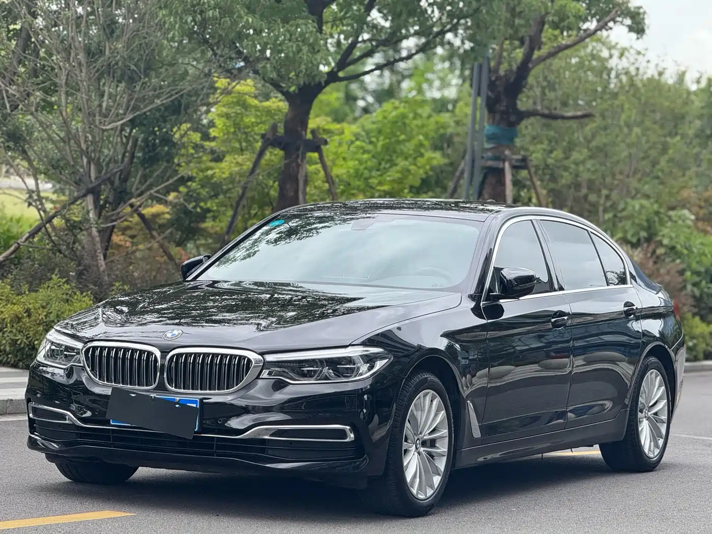 BMW 5 Series 2018 530Li xDrive Luxury Package
