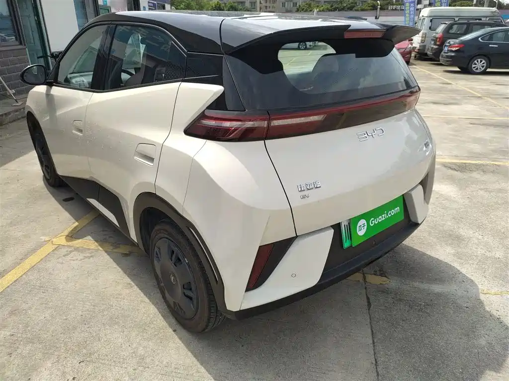 BYD Seagull 2025 Smart Drive Edition 305km Vitality Version фото 5