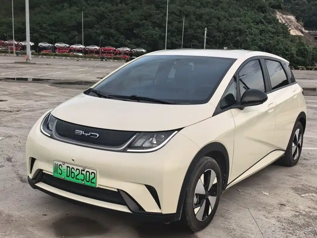 BYD Dolphin 2023 420km Freedom Edition