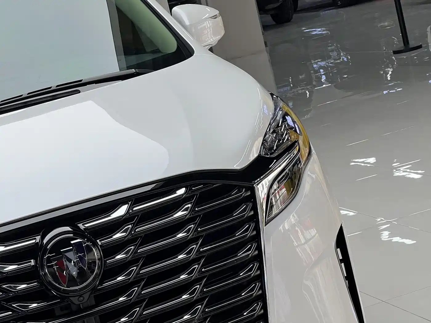 Buick GL8 2023 ES Landmaster Luxury фото 48