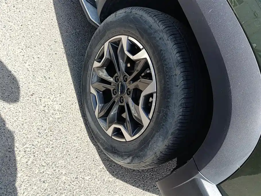 Haval Big Dog 2021 2.0T DCT 4WD Chinese Rural Dog Edition фото 6