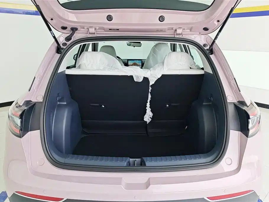 Geely Galaxy Starry Wish 2026 Edition 310km Youth Version фото 4