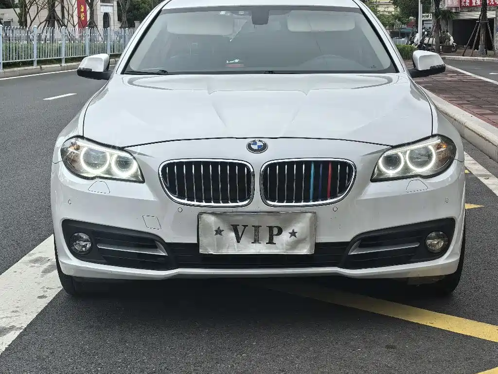 BMW 5 Series 2014 520Li Elegance фото 2