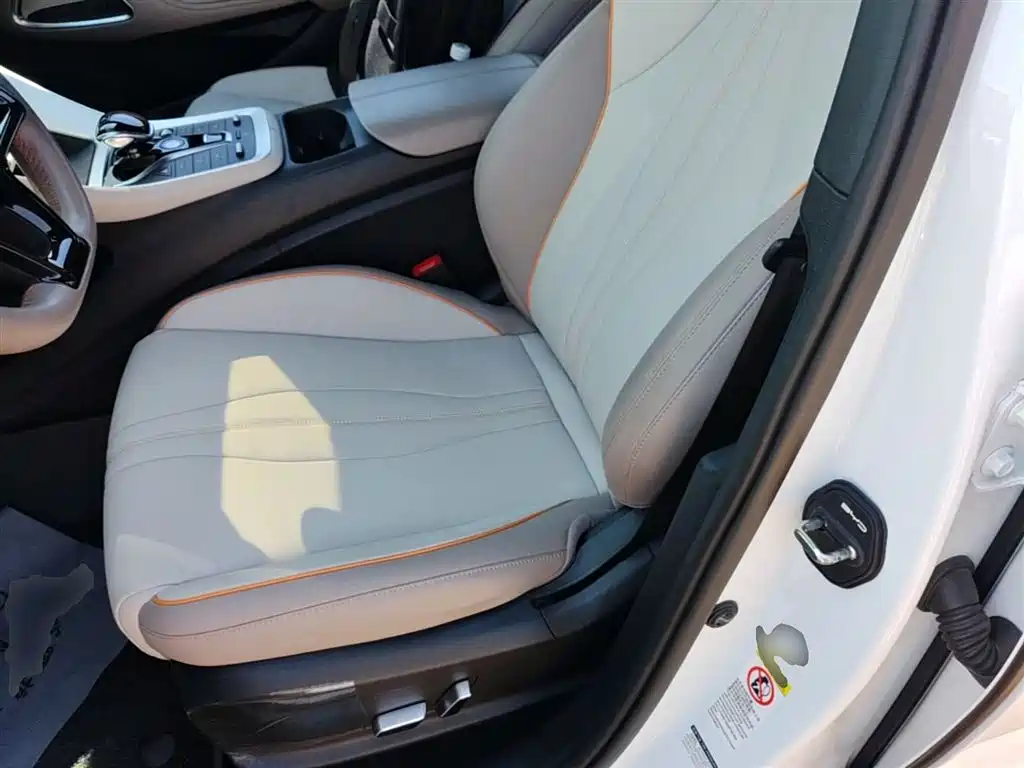 BYD Song Pro New Energy 2024 Glory Edition DM-i 71KM Pilot фото 15