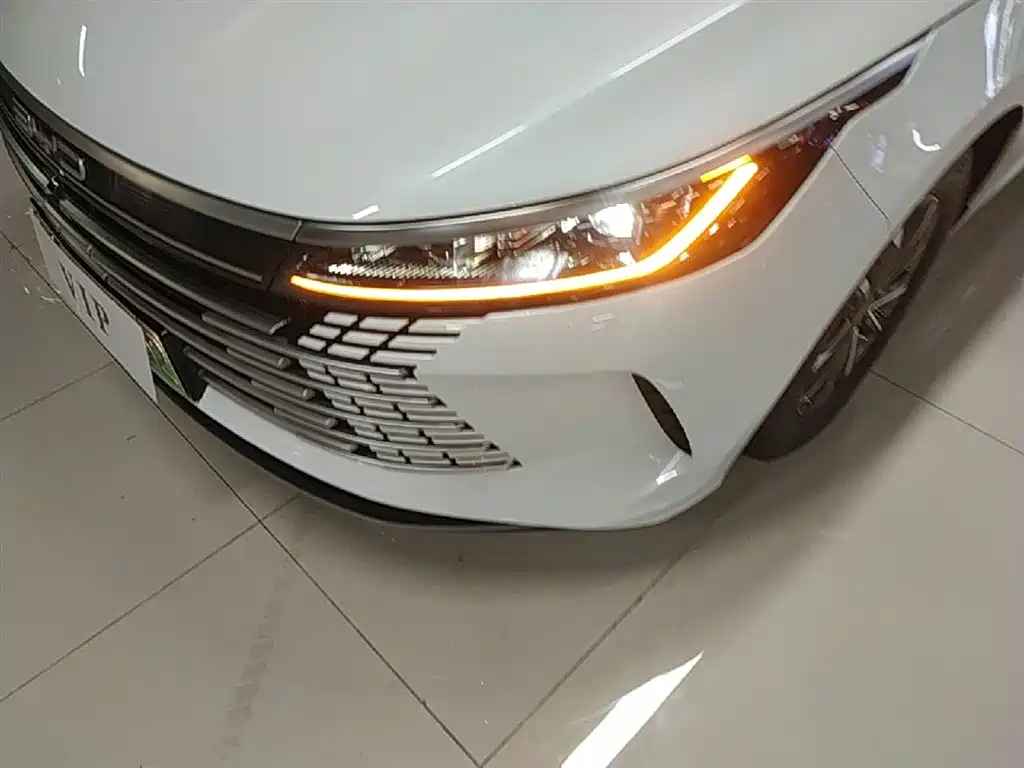 BYD Destroyer 05 2024 Glory Edition DM-i 55KM Luxury фото 24