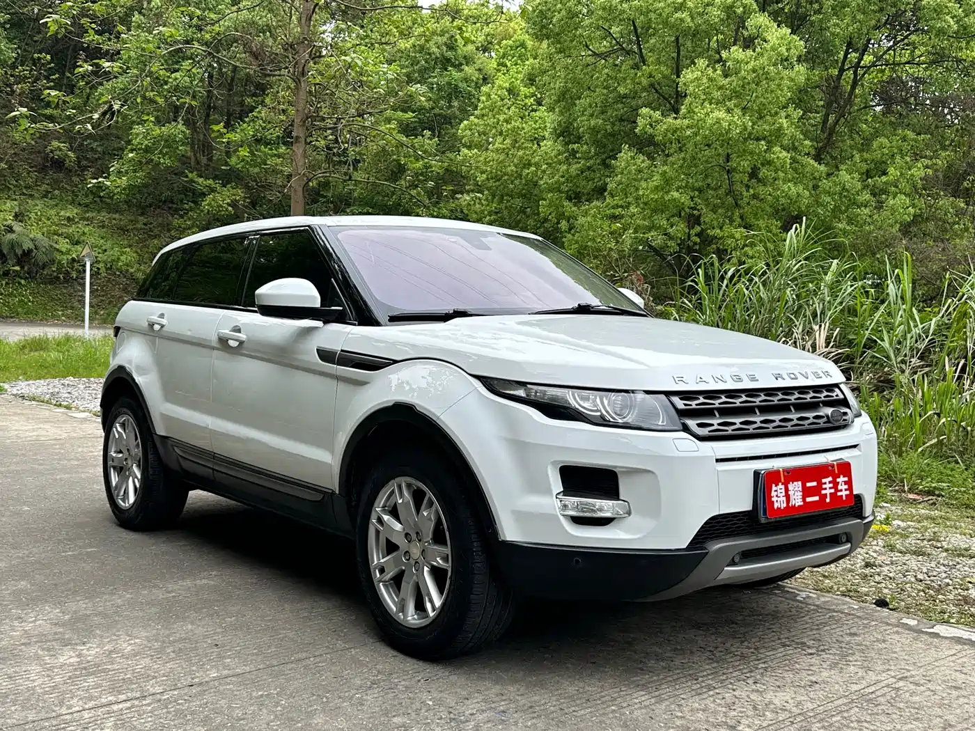 Land Rover Range Rover Evoque (Import) 2014 2.0T 5-door Brilliance Premium фото 5