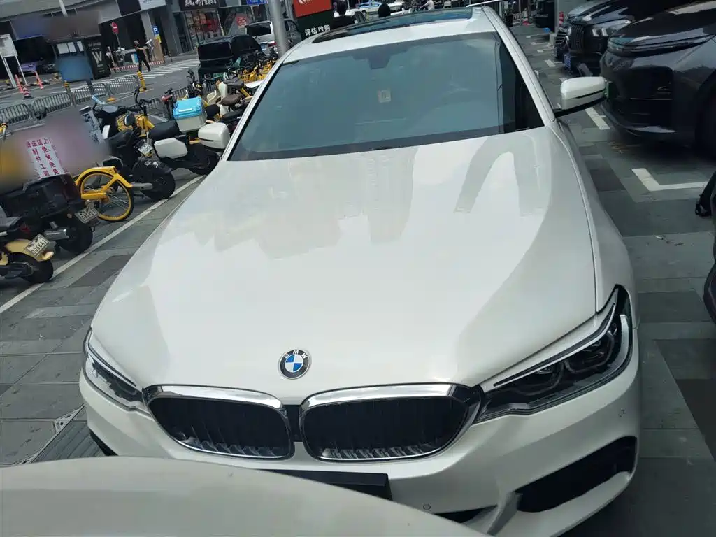 BMW 5 Series 2020 530Li Leading M Sport Package фото 3