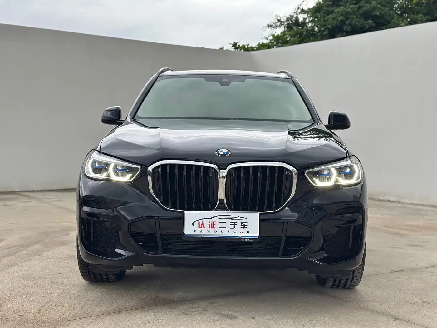 BMW X5 (Import) 2022 2022 xDrive30i M Sport Package