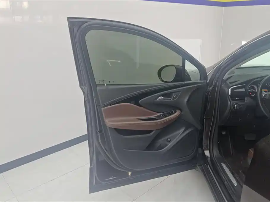 Buick Envision Plus 2020 28T AWD Elite фото 7