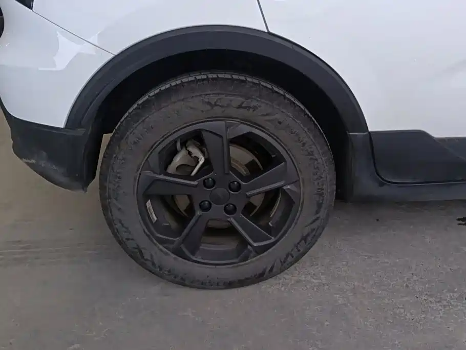 Geely Geometry E Firefly 2024 2024 Model 301km Starlight