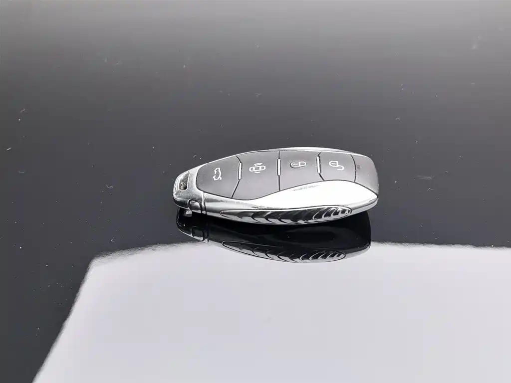 Hongqi H5 2023 2.0T Auto Smart Connect Flag Comfort фото 19