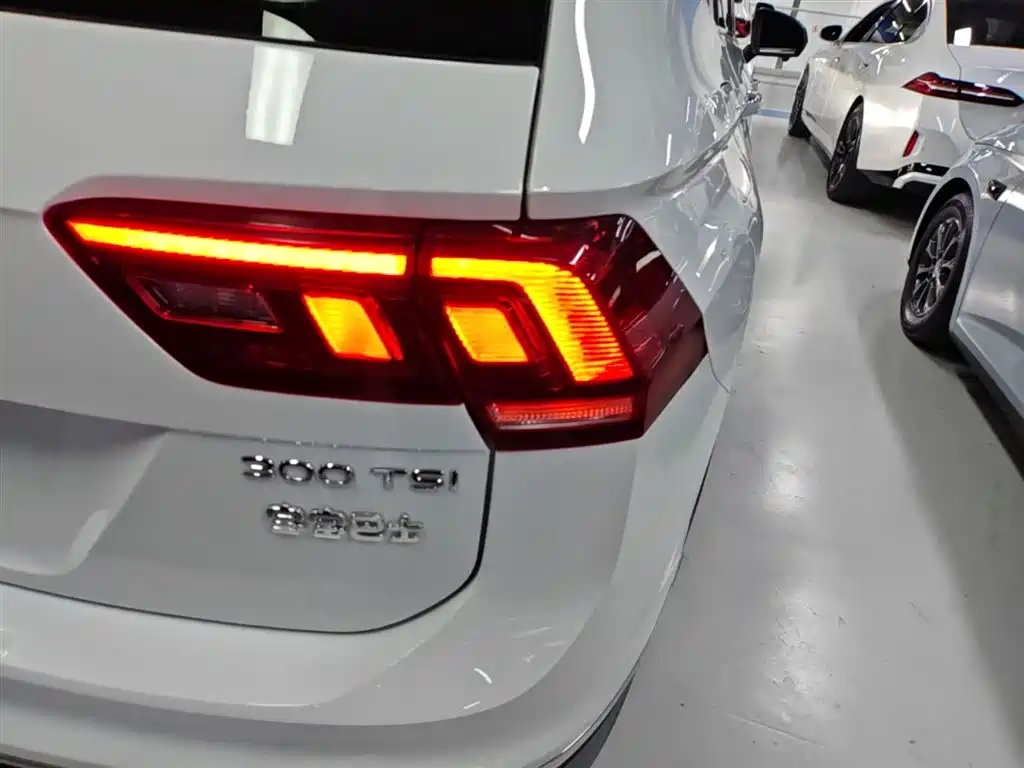 Volkswagen Tiguan L 2024 300TSI Auto 2WD Smart Edition фото 8