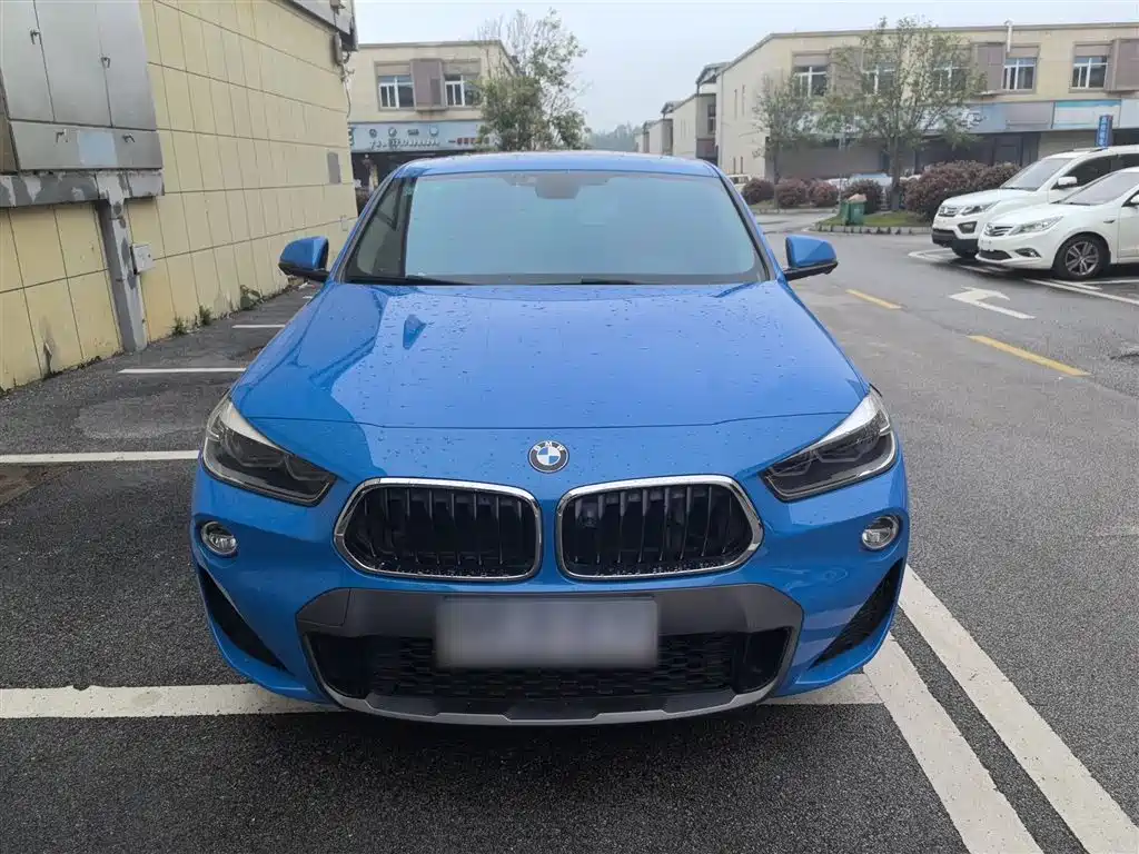 BMW X2 (Import) 2019 sDrive20i M Off-Road Package China VI фото 3