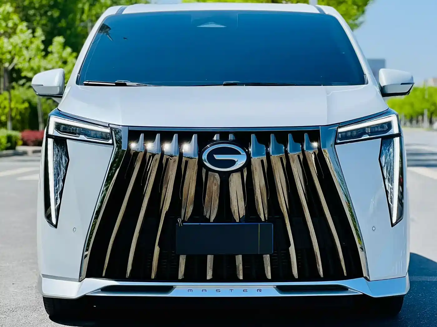 GAC Trumpchi Trumpchi M8 2023 Model Master Series 400T Flagship Edition фото 2