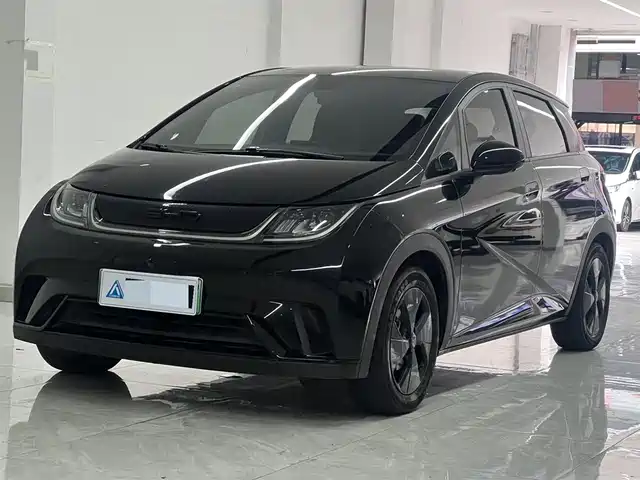 BYD Dolphin 2024 Glory Edition 420km Freedom Edition