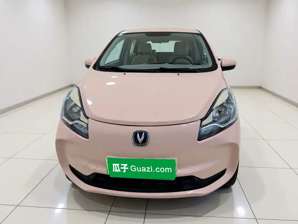 2022 Changan Benben E-Star