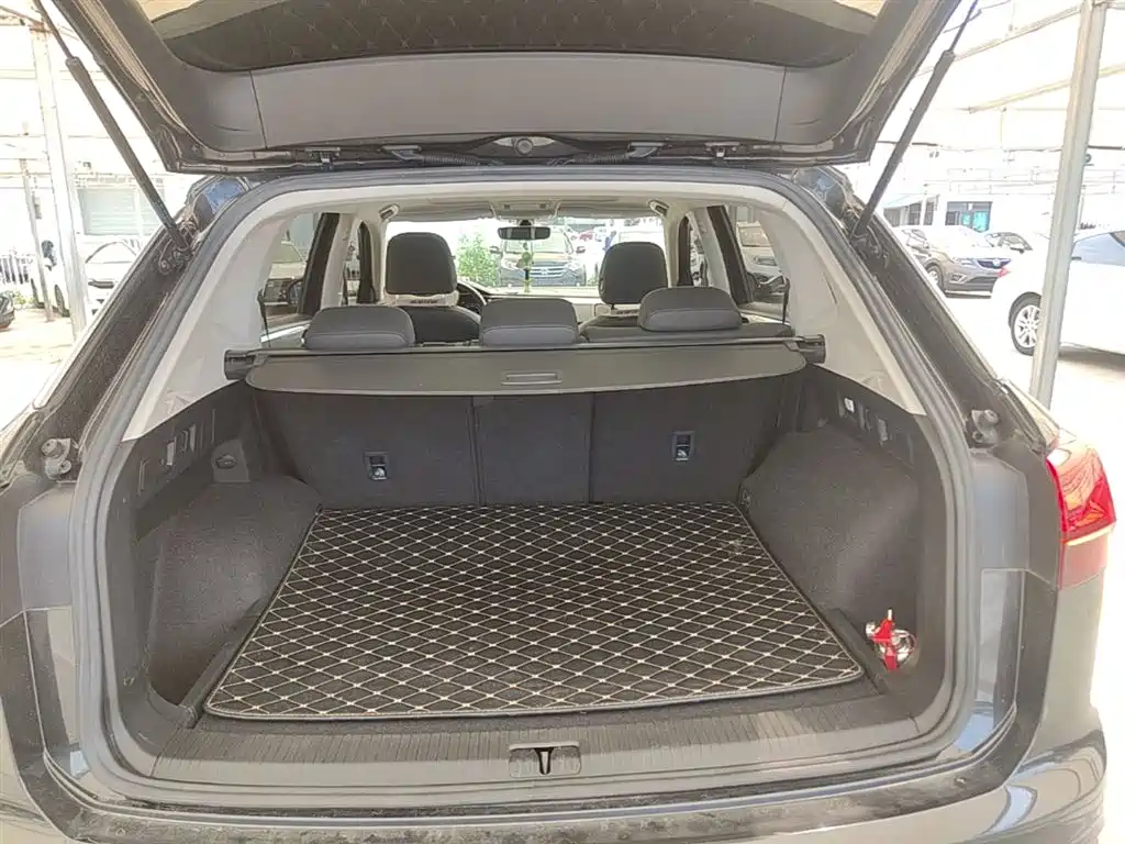 VOLKSWAGEN TANYUE