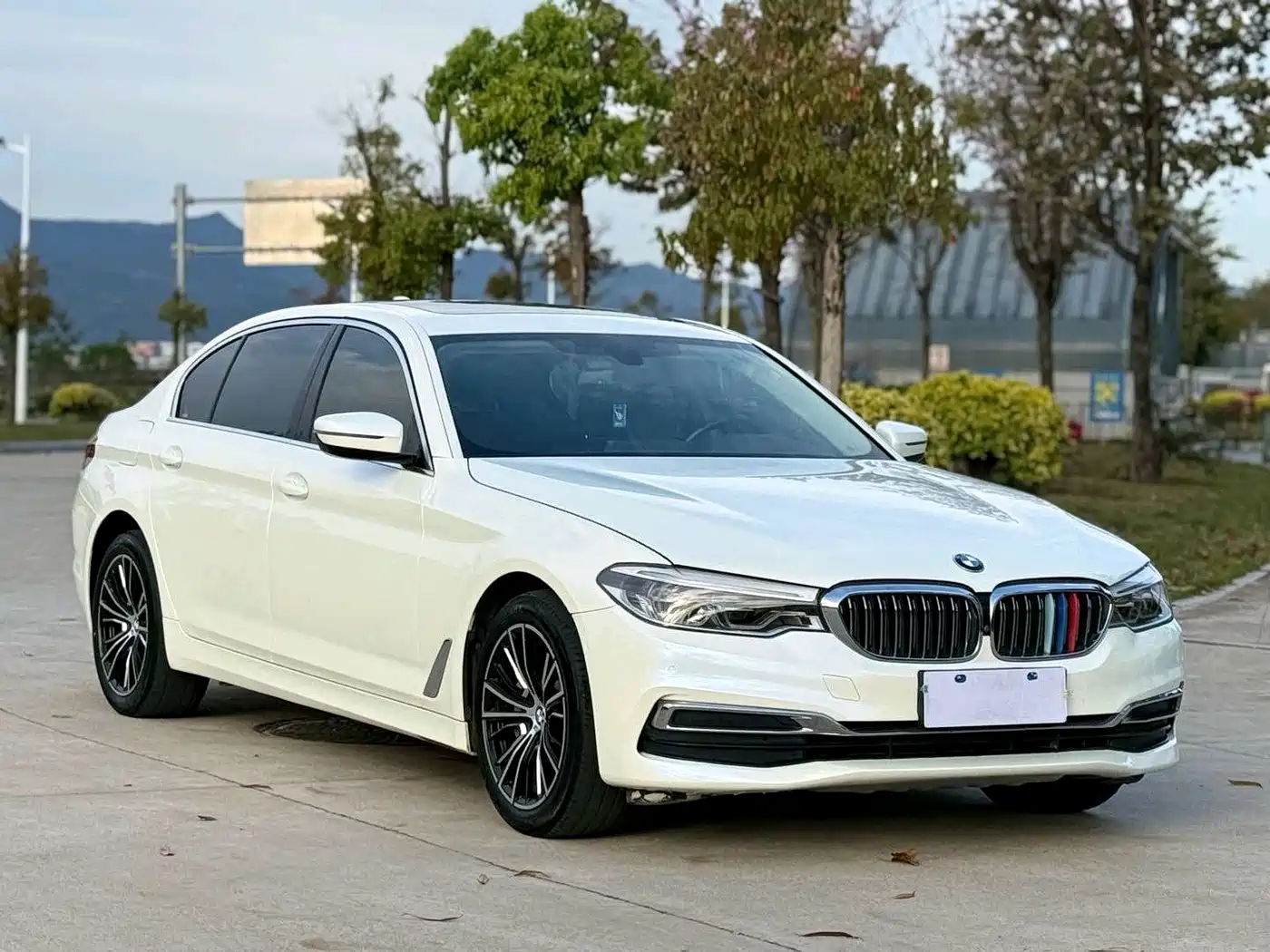 BMW 5 Series 2020 530Li Premium Luxury Package фото 3
