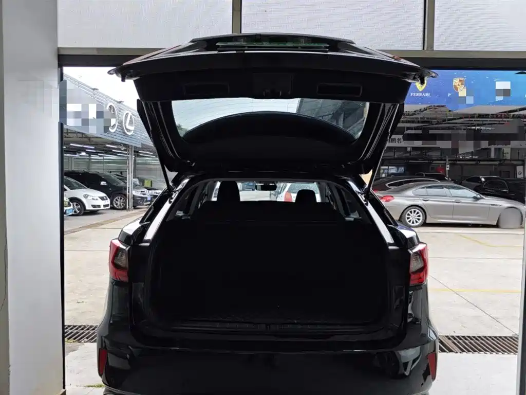 Lexus RX 2016 300 2WD Elite Edition (China V) фото 19