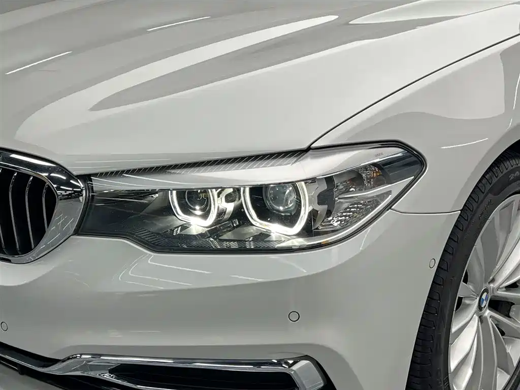 BMW 5 Series 2020 525Li Luxury Package фото 9
