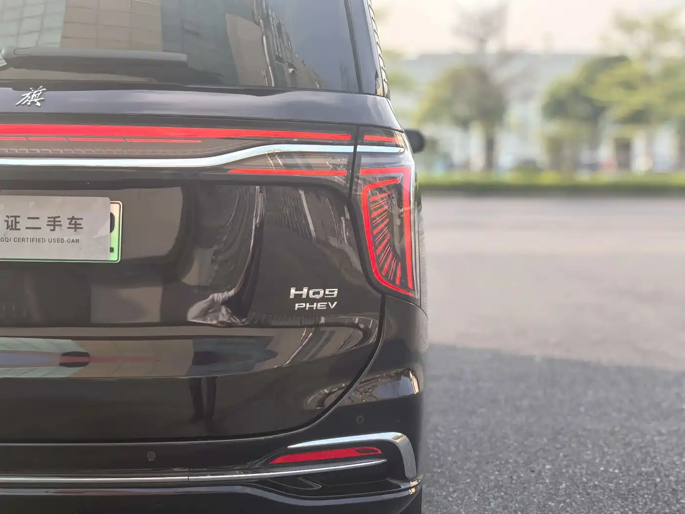 Hongqi HQ9 PHEV 2024 Model 2.0T AWD Luxury Edition фото 10